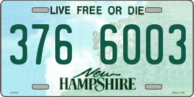 NH license plate 3766003