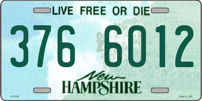 NH license plate 3766012