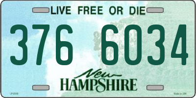 NH license plate 3766034