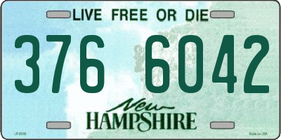 NH license plate 3766042