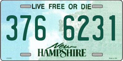 NH license plate 3766231