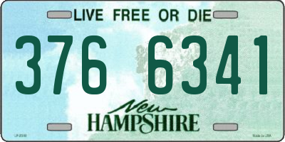 NH license plate 3766341
