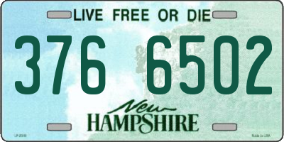 NH license plate 3766502