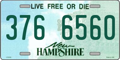 NH license plate 3766560