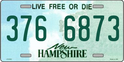 NH license plate 3766873