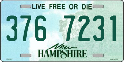 NH license plate 3767231