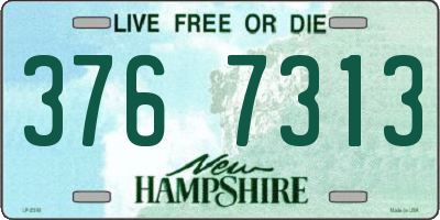 NH license plate 3767313