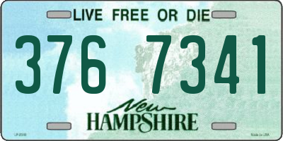 NH license plate 3767341