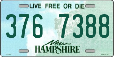 NH license plate 3767388