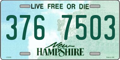 NH license plate 3767503
