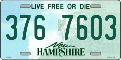 NH license plate 3767603