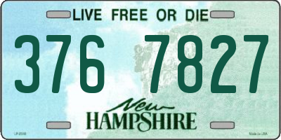 NH license plate 3767827