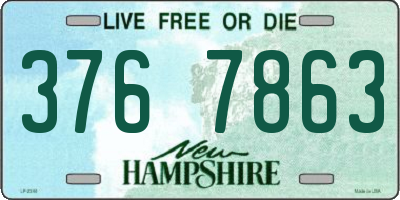NH license plate 3767863