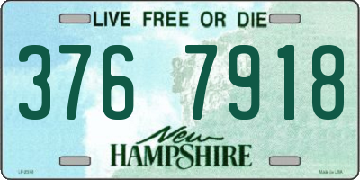 NH license plate 3767918