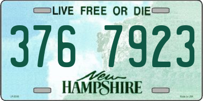 NH license plate 3767923