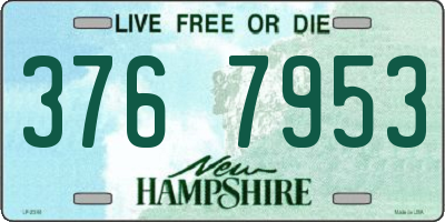 NH license plate 3767953