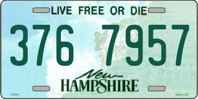 NH license plate 3767957
