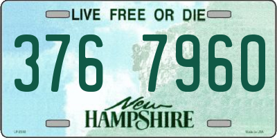 NH license plate 3767960