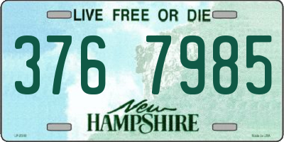 NH license plate 3767985
