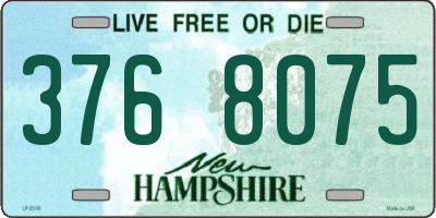 NH license plate 3768075
