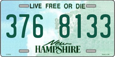 NH license plate 3768133