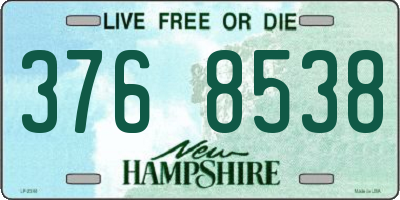 NH license plate 3768538