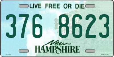 NH license plate 3768623