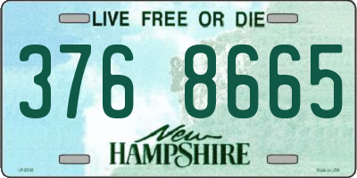 NH license plate 3768665
