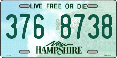 NH license plate 3768738
