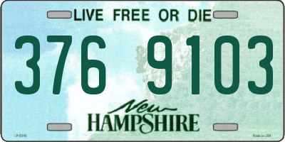 NH license plate 3769103