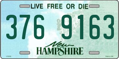 NH license plate 3769163