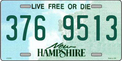 NH license plate 3769513