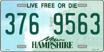 NH license plate 3769563