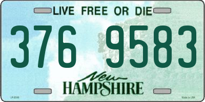 NH license plate 3769583