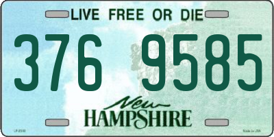 NH license plate 3769585