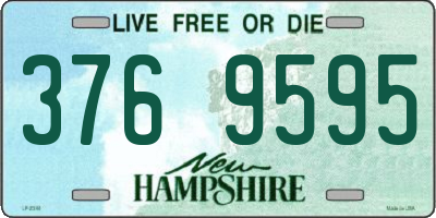 NH license plate 3769595