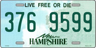 NH license plate 3769599
