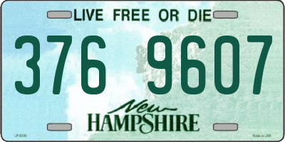 NH license plate 3769607