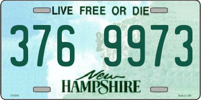 NH license plate 3769973