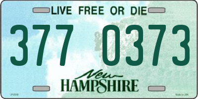 NH license plate 3770373