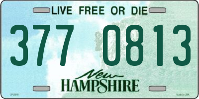 NH license plate 3770813