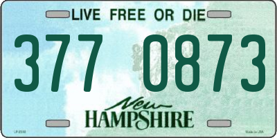 NH license plate 3770873