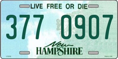 NH license plate 3770907