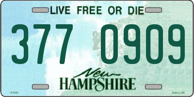 NH license plate 3770909