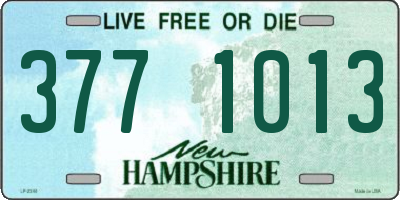 NH license plate 3771013