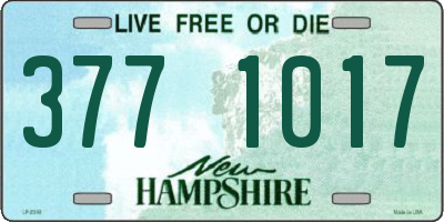 NH license plate 3771017
