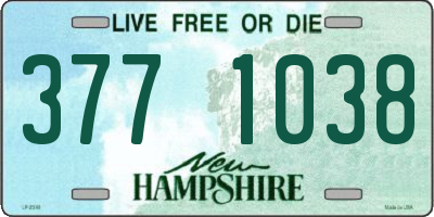 NH license plate 3771038