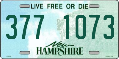 NH license plate 3771073