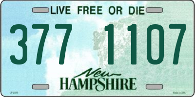 NH license plate 3771107
