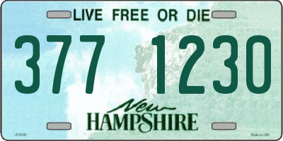 NH license plate 3771230